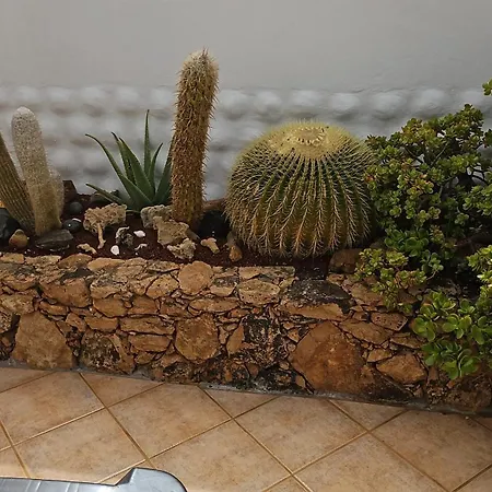 Lejlighed Casa Del Sol Rio